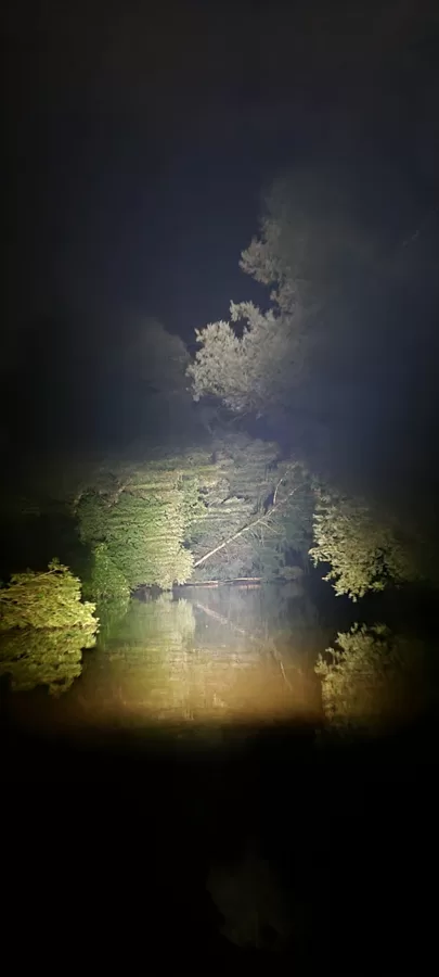 Nakts noskaņās - īpašā atmosfērā, krāsās, gaismās un skaņās
